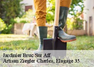 Jardinier bruc-sur-aff-35550 Artisan Ziegler Charles, Elagage 35