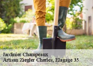 Jardinier  champeaux-35500 Artisan Ziegler Charles, Elagage 35