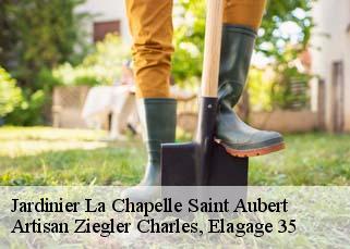 Jardinier  la-chapelle-saint-aubert-35140 Artisan Ziegler Charles, Elagage 35