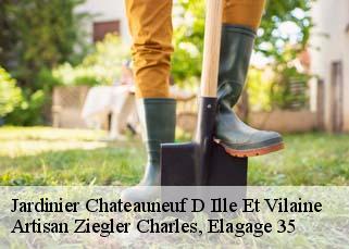 Jardinier  chateauneuf-d-ille-et-vilaine-35430 Artisan Ziegler Charles, Elagage 35