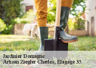 Jardinier  domagne-35113 Artisan Ziegler Charles, Elagage 35