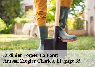 Jardinier  forges-la-foret-35640 Artisan Ziegler Charles, Elagage 35