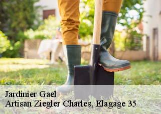 Jardinier  gael-35290 Artisan Ziegler Charles, Elagage 35