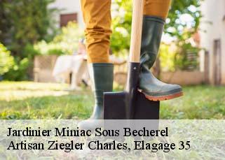 Jardinier miniac-sous-becherel-35190 Artisan Ziegler Charles, Elagage 35