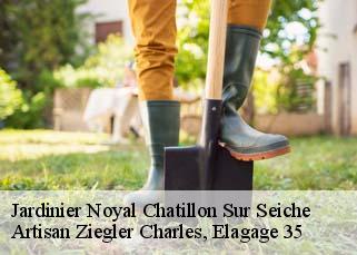 Jardinier  noyal-chatillon-sur-seiche-35230 Artisan Ziegler Charles, Elagage 35