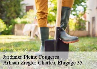 Jardinier  pleine-fougeres-35610 Artisan Ziegler Charles, Elagage 35