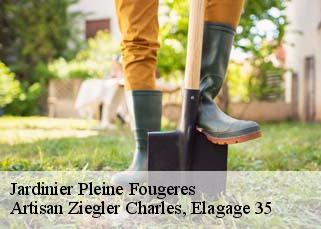 Jardinier pleine-fougeres-35610 Artisan Ziegler Charles, Elagage 35