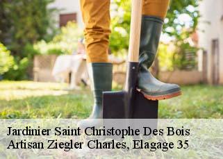 Jardinier  saint-christophe-des-bois-35210 Artisan Ziegler Charles, Elagage 35