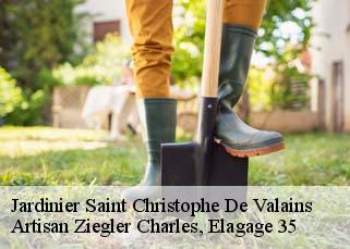 Jardinier  saint-christophe-de-valains-35140 Artisan Ziegler Charles, Elagage 35