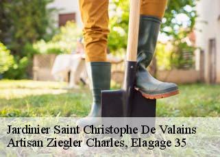 Jardinier saint-christophe-de-valains-35140 Artisan Ziegler Charles, Elagage 35