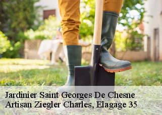 Jardinier  saint-georges-de-chesne-35140 Artisan Ziegler Charles, Elagage 35