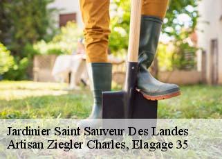 Jardinier  saint-sauveur-des-landes-35133 Artisan Ziegler Charles, Elagage 35