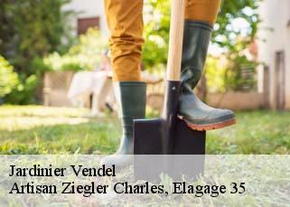 Jardinier  vendel-35140 Artisan Ziegler Charles, Elagage 35
